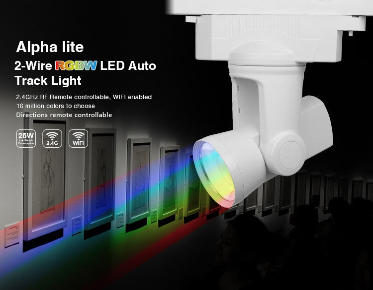 Tracklight Auto Rail - 2-Wire RGB+CW - Wit Tracklight Auto Rail - 2-Wire RGB+CW - Wit